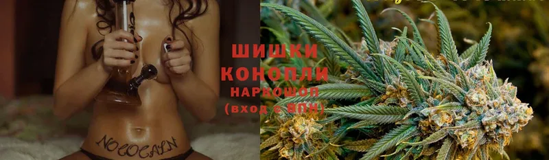 МАРИХУАНА THC 21%  блэк спрут сайт  Кореновск 